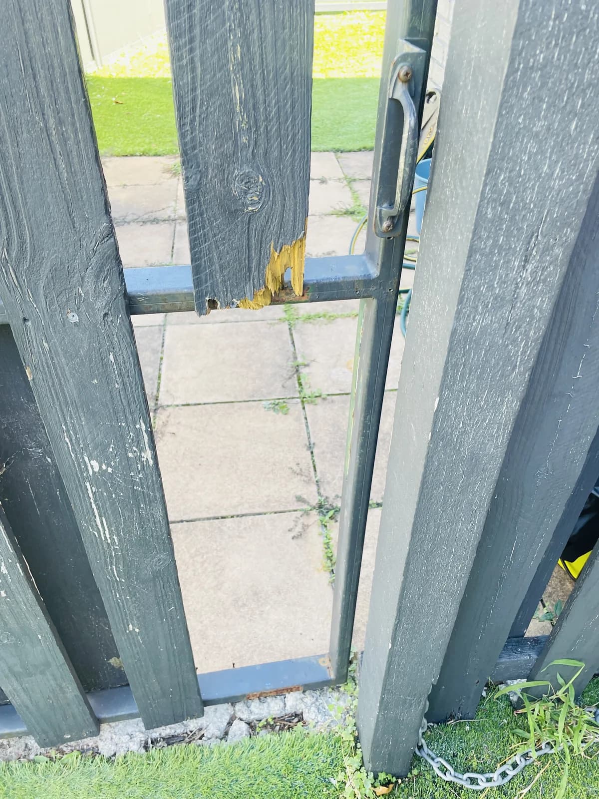 Close-up of splintered timber on a painted gate paling beside the metal frame