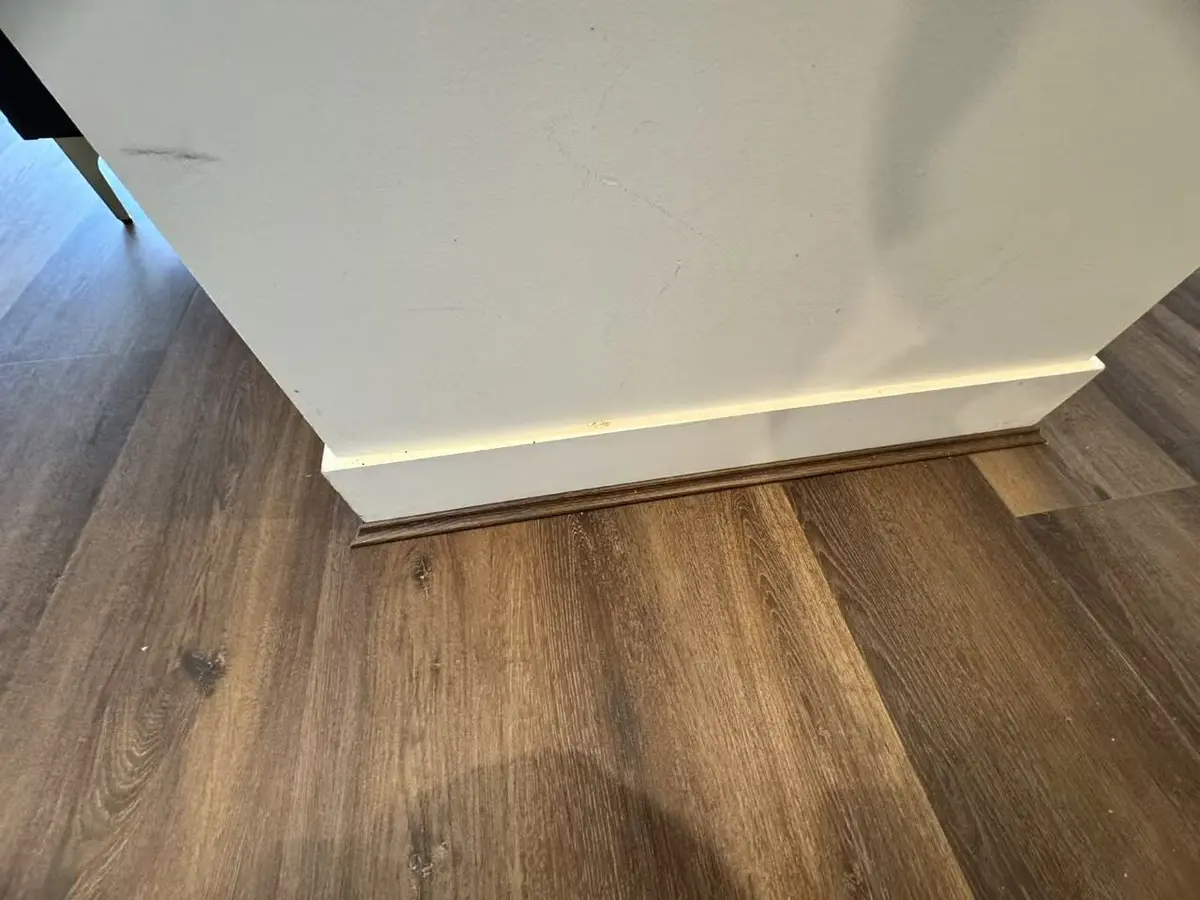 Close-up of dark plank flooring beside a white door jamb and edge trim